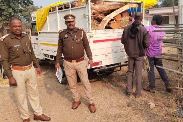 उत्तर प्रदेश-छत्तीसगढ़ बॉर्डर पर वन विभाग की बड़ी कार्रवाई, ढाई लाख की लकड़ी जब्त