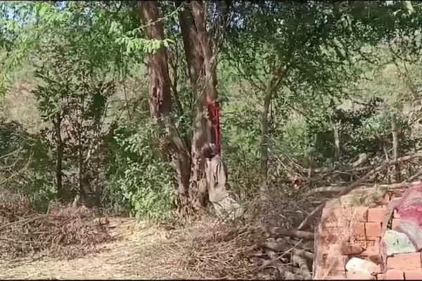 कटनी: पेड़ से लटका मिला 55 वर्षीय व्यक्ति का शव, हत्या या आत्महत्या