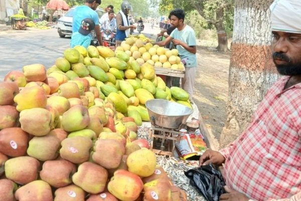 “देशभक्ति में फल व्यापारियों का बड़ा फैसला: गोंडा मंडी में तुर्की के सेब और आलूबुखारा पर बैन, 50 लाख का नुकसान मंजूर”