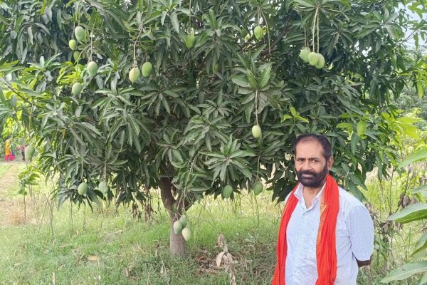 आम की नई किस्म का नाम रखा ‘ऑपरेशन सिंदूर’… सेना के जवानों को किसान ने इस अंदाज में दी सलामी