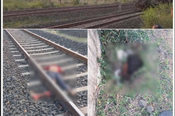 बिलासपुर-कटनी रेल मार्ग पर दर्दनाक हादसा, खैरझिटी रेलवे ट्रैक पर ट्रेन से कटकर युवक की मौत