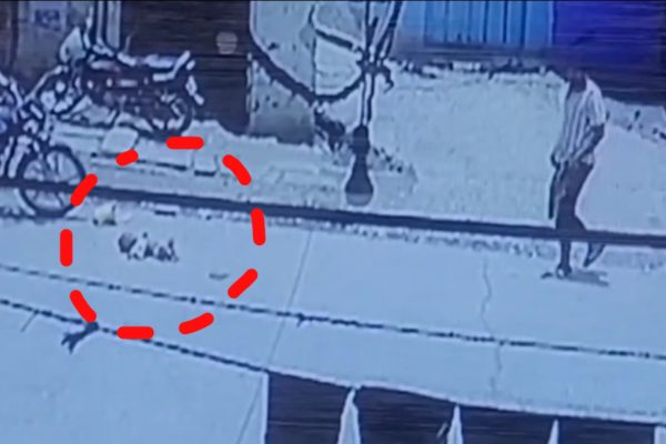 Madhya Pradesh: मां की ममता हुई शर्मसार: तपती सड़क पर बच्चा फेक चली गई मां, युवक ने बचाई जान