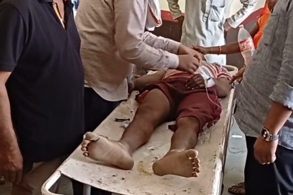 नागिन डांस पड़ा भारी! अगले दिन बिस्तर पर लेटे युवक को सांप ने डसा, हालत नाज़ुक