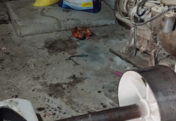 बेल्ट में फंसा पल्लू बना काल,सेंगरवार कुर्मियान गांव में महिला की चक्की में फंसकर दर्दनाक मौत, शरीर के हुए टुकड़े