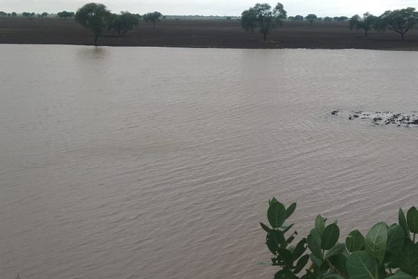 बलिया: बैरिया क्षेत्र से गुजरने वाली गंगा नदी का जलस्तर खतरा बिंदु से ऊपर, सरयू के तटवर्ती गांवों में अफरा-तफरी का माहौल