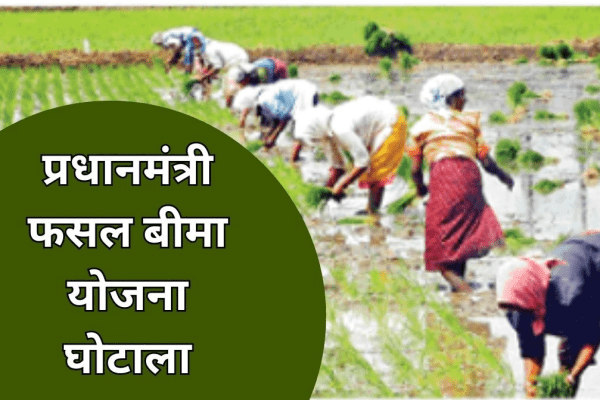 किसानों को हुआ है 636 करोड़ का नुकसान, जांच के नाम पर 4 साल चला कागजों पर खेल, मगर कोई नतीजा नहीं