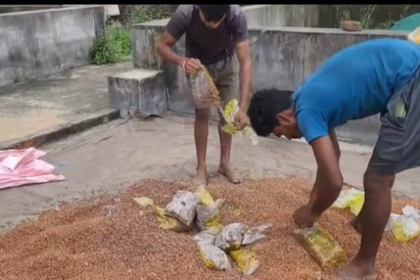 बलरामपुर: वाड्रफनगर में PDS चना घोटाला, सरकारी अनाज खुले बाजार में बेचा जा रहा