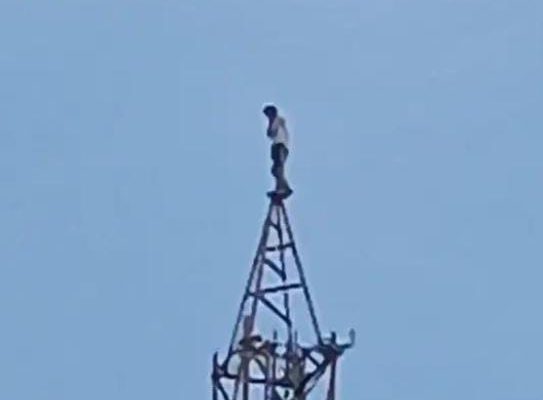 इटावा में सनसनी: मानसिक तनाव से जूझ रहा युवक मोबाइल टॉवर पर चढ़ा, पुलिस और ग्रामीण परेशान