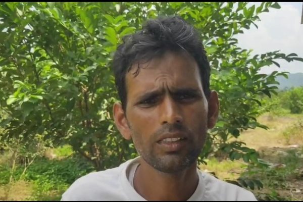 नक्सलवाद से बागवानी तक: औरंगाबाद का दुर्गी गांव बना अमरूद का हब!