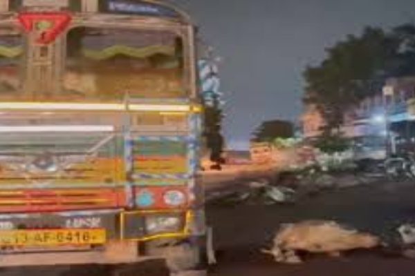 ट्रक ने मवेशियों को कुचला, 4 की मौत 3 घायल