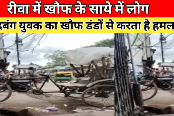 रीवा में चाट वाले की दबंगई! हाथ में डंडा लेकर धमका रहा, व्यापारी और राहगीर परेशान