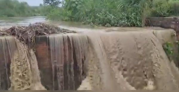 इटावा: नहर विभाग की लापरवाही से 100 बीघा फसल डूबी, किसानों को भारी नुकसान