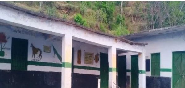 इटावा में 590 स्कूलों पर बंद होने का खतरा, शासन ने पेयरिंग प्रक्रिया जल्द पूरी करने के दिए निर्देश